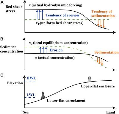 The Impact of Reclamation on Tidal Flat Morphological Equilibrium